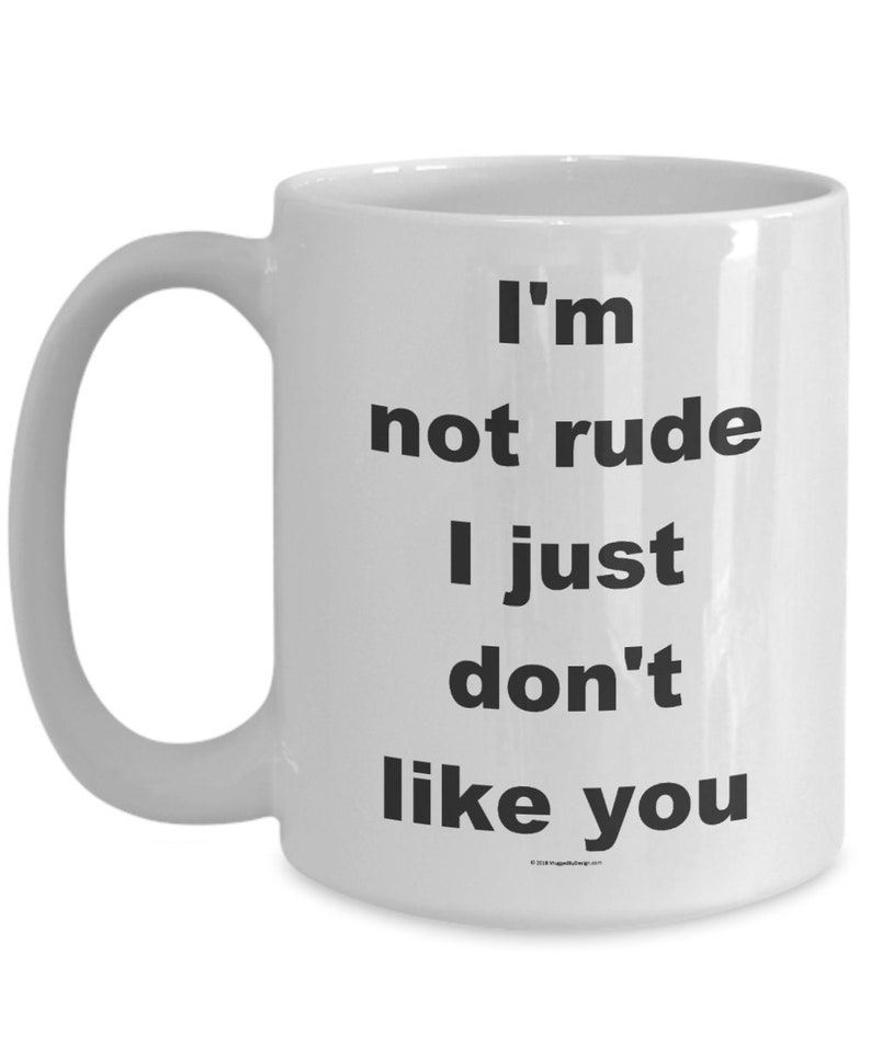Offensive Coffee Mug I'm Not Rude I Just Don't Like You Great Gift For People Who Appreciate Offensive Humour image 4