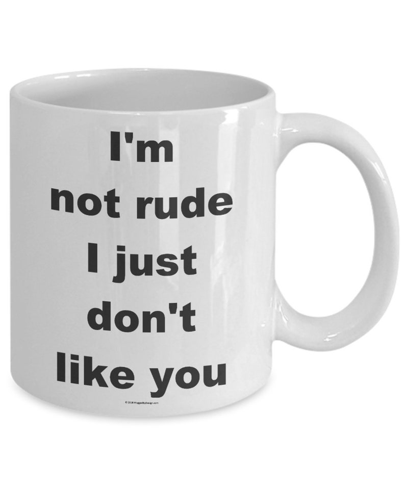 Offensive Coffee Mug I'm Not Rude I Just Don't Like You Great Gift For People Who Appreciate Offensive Humour image 3