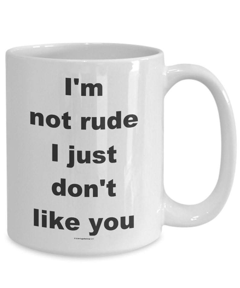 Offensive Coffee Mug I'm Not Rude I Just Don't Like You Great Gift For People Who Appreciate Offensive Humour image 5