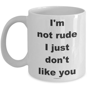 Offensive Coffee Mug I'm Not Rude I Just Don't Like You Great Gift For People Who Appreciate Offensive Humour image 2