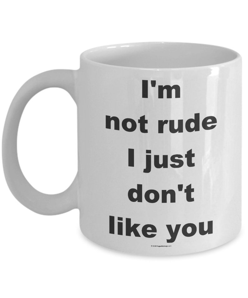 Offensive Coffee Mug I'm Not Rude I Just Don't Like You Great Gift For People Who Appreciate Offensive Humour image 2