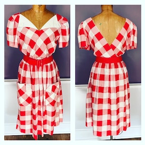 Nifty 50s Picnic Dress in Red and White Check and Matching Belt