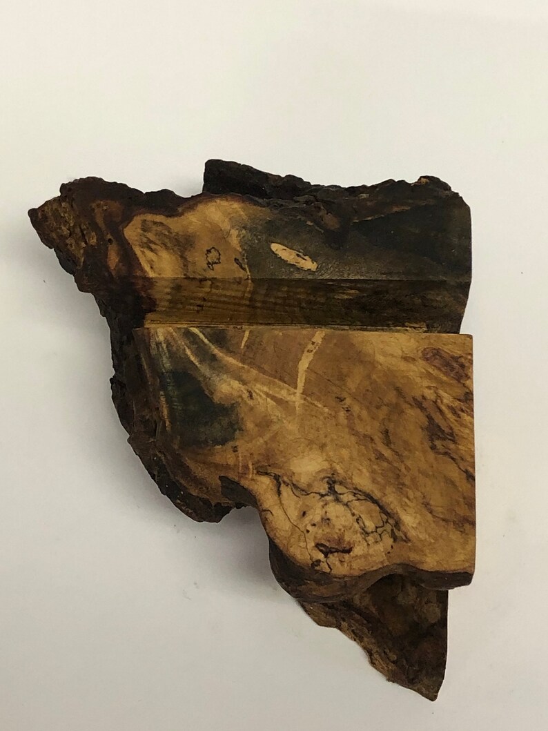 Live Edge Buckeye Burl Business Card Holder