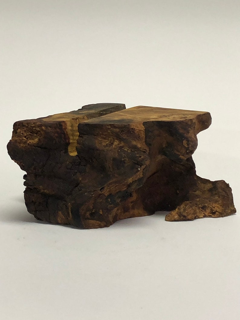 Live Edge Buckeye Burl Business Card Holder