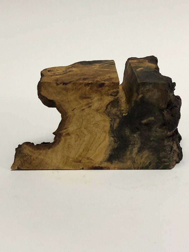 Live Edge Buckeye Burl Business Card Holder