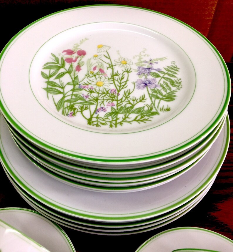 FITZ & FLOYD Country Garden PLATES Cups and Etsy 日本