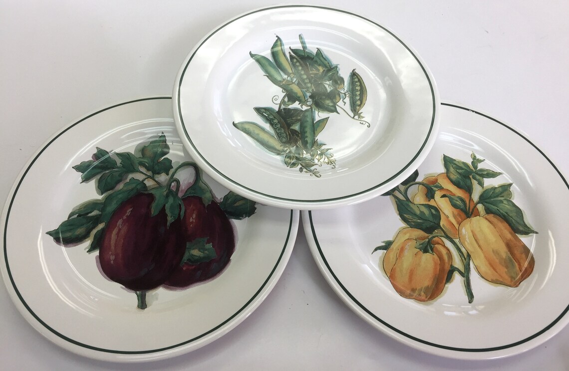 Williamssonoma harvest 3 SALAD PLATES Etsy