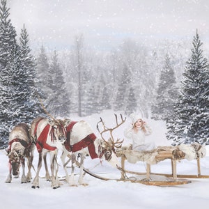 Reindeer in the Snow Christmas Digital Background with Falling Snow Overlay Included