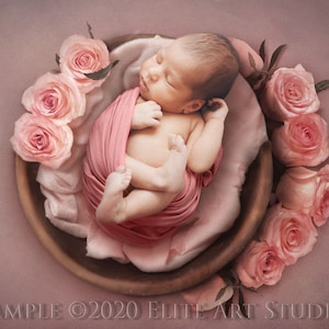Rose Newborn Digital Backdrop