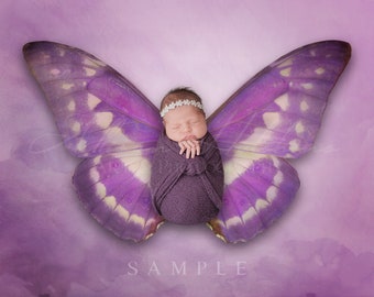 Spring Butterfly Newborn Digital Backdrop