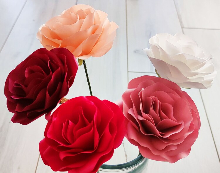Where To Buy Lisianthus Plants