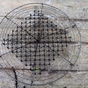 Op de afbeelding: Een ronde, zwarte metalen koelrek met een gaasontwerp. Het rek is gemaakt van dunne draad en heeft een ronde vorm.