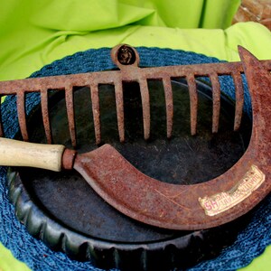 Old garden tool, rake and sickle, shabby chic garden decoration, country house decoration