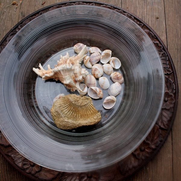 Glasschale mit Muscheldeko, Vogeltränke, Gartendeko, Obstschale