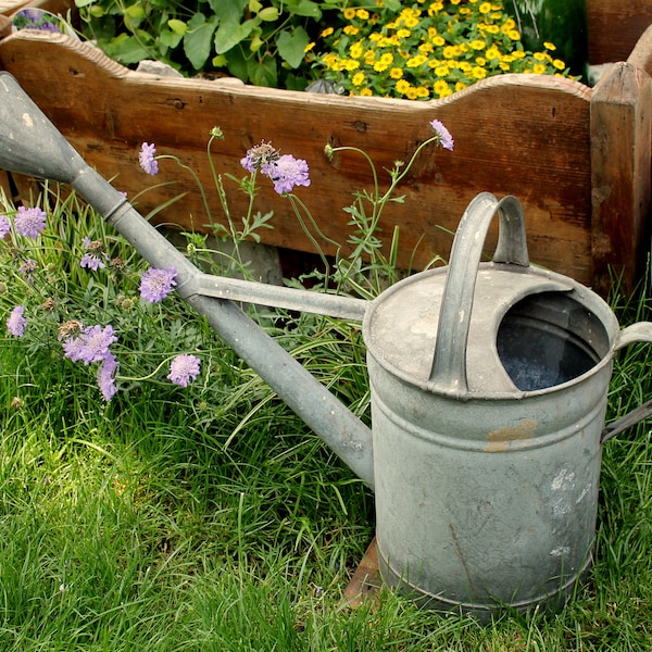 Arrosoir de jardin, arrosoir en zinc, décoration de jardin, pot à fleurs, arrosoir à fleurs maison de campagne, gazebo