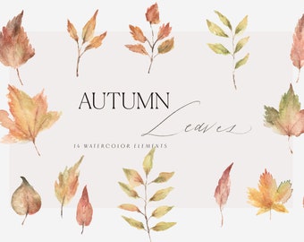 Watercolor Autumn Leaves Clipart - Fall Leaves Watercolor Clipart, Fall Clipart, Fall Leaves, Autumn Clipart, Thanksgiving Clipart