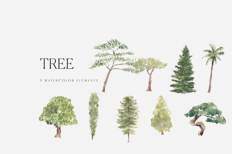 Download Thanksgiving Clipart Forest Clipart Set Foliage Greenery Clipart Watercolor Tree Clipart Flowers Png Svg Invitation Clipart Card Making Stationery Papercraft Delage Com Br