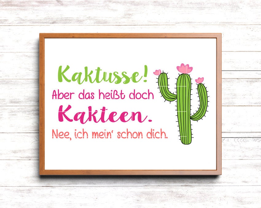 kaktus wird grau Copiapoa griseoviolacea main image 1