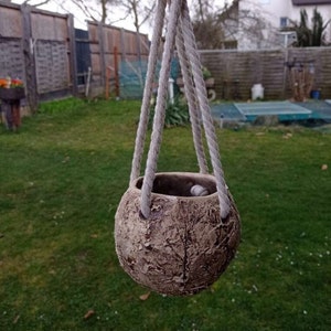 Può includere: Un vaso sospeso in ceramica con una superficie marrone strutturata. Il vaso sferico è sospeso da tre spesse corde bianche. Il vaso è appeso in un giardino erboso.