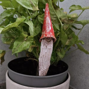 Op de afbeelding: Een keramische dwergfiguur met een rood-witte hoed en een witte baard. De dwerg staat in een grijze pot met groene planten.