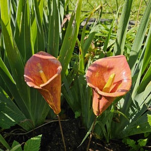 Pode incluir: Duas estacas de jardim de copo-de-leite laranja e amarelo. As flores de cerâmica têm um estame amarelo e estão colocadas num canteiro com folhagem verde no fundo. As estacas são de metal.
