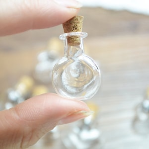 2 Pieces Clear Glass Ball Bottles Pendant Charms Vials Wish Bottles Clear Glass Globe  DIY Pendant Charm Supplies  (BLP054)