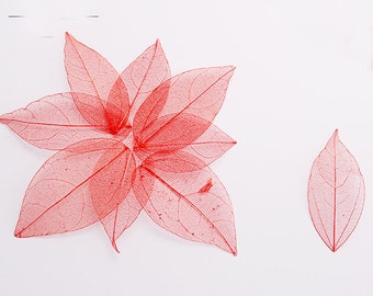 10 pièces séchées feuilles bricolage métier de résine charges pressé fleurs Slime charges UV résine charges bijoux artisanat verre artisanat (DJ_F_134)