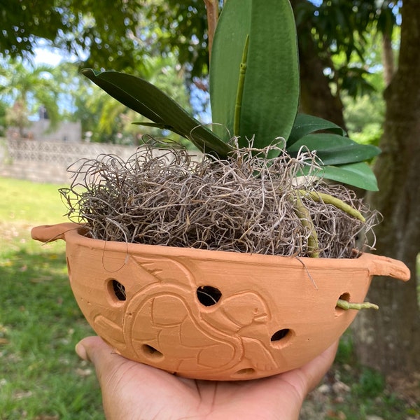 Large Dutch pot turtle style Orchid Terracotta Planter, carved Turtle, Holes for Root Health, Great for orchid shows, Gift Orchid Collector.