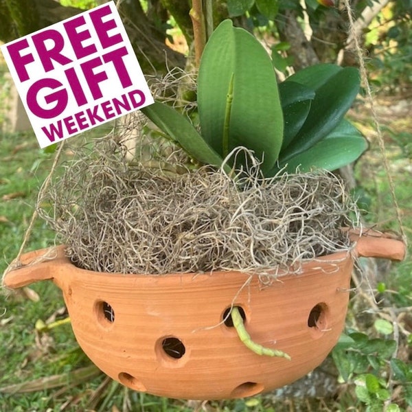 Large Orchid Pot Etsy