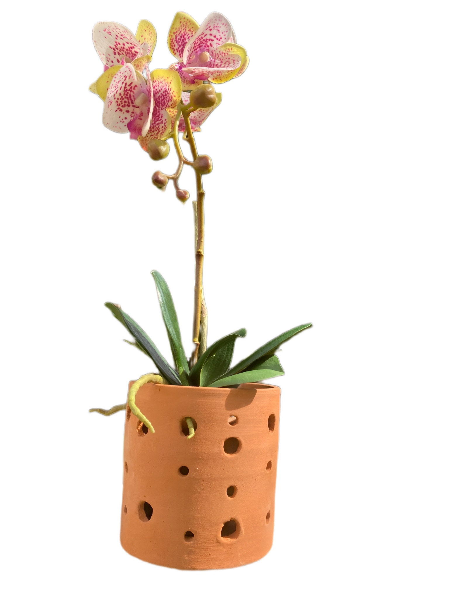 Handmade Terracotta Orchid Planter Big & Small Holes Etsy
