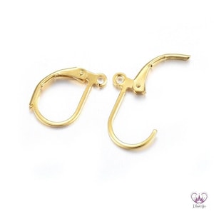 Pode incluir: Dois ganchos para brincos dourados com fecho de mola. Os ganchos são projetados para serem usados com uma variedade de estilos de brincos.