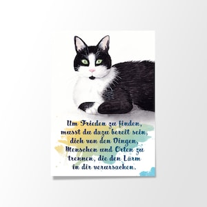 Postkarte | Katze - Frieden finden, Weisheit