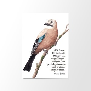 Postkarte | Eichelhäher | Freundschaft, Liebe, Freiheit