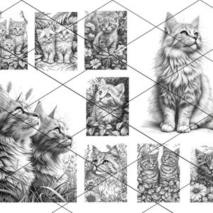 May include: A collection of nine black and white pencil drawings of cats. The drawings feature cats of different ages and sizes, some with flowers and plants in the background.