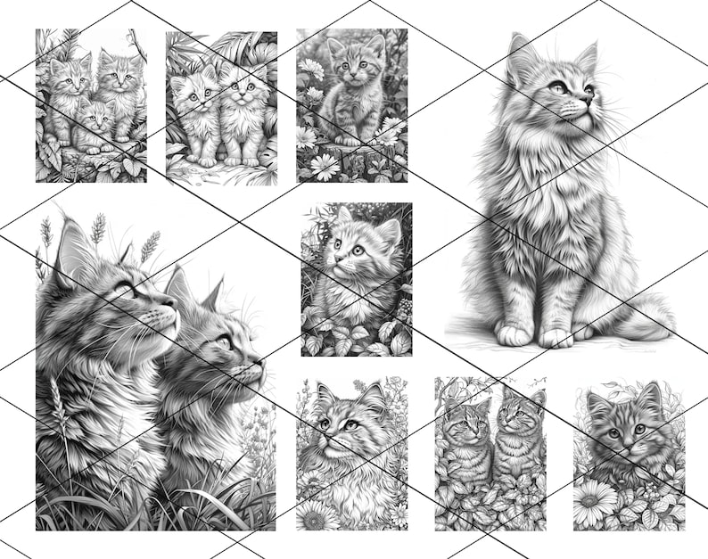 May include: A collection of nine black and white pencil drawings of cats. The drawings feature cats of different ages and sizes, some with flowers and plants in the background.