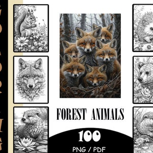 100 Premium Waldtiere Ausmalbilder | PNG | Druckbar | Wiederverkaufbares Malbuch-Bundle | Canva Vorlagen | PLR Bundle | Rechte weiterverkaufen