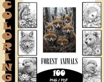 100 Premium Forest Animals Coloring pages | PNG | Printable | Resellable Coloring Book Bundle | Canva Templates | PLR Bundle | Resell Rights