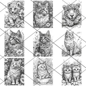 May include: A collection of nine black and white pencil drawings of cats and a leopard. The drawings are all in a realistic style and feature different poses and expressions. Some of the cats are sitting, while others are lying down or standing. The leopard is lying down with its head resting on its paws.