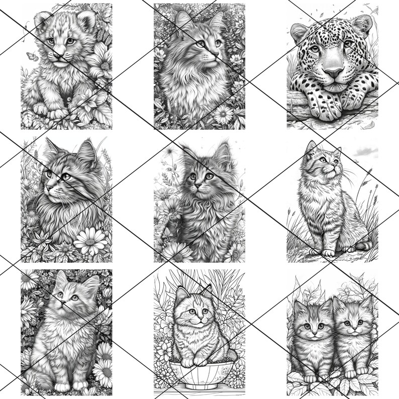 May include: A collection of nine black and white pencil drawings of cats and a leopard. The drawings are all in a realistic style and feature different poses and expressions. Some of the cats are sitting, while others are lying down or standing. The leopard is lying down with its head resting on its paws.