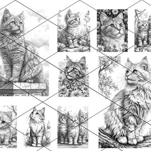 May include: A collection of black and white pencil drawings of cats in various poses. Some cats are sitting, some are standing, and some are looking up. The drawings are all very detailed and realistic.