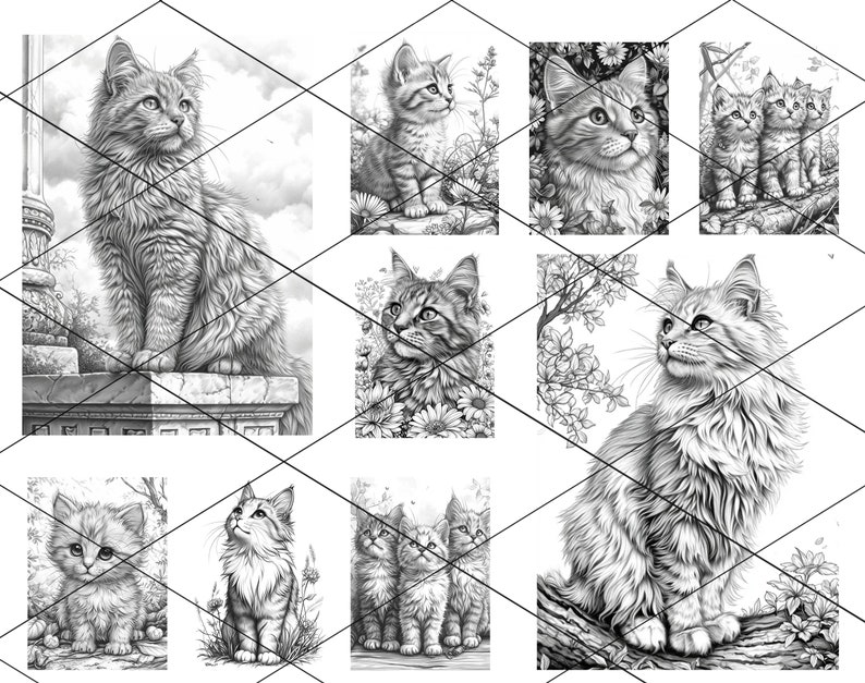 May include: A collection of black and white pencil drawings of cats in various poses. Some cats are sitting, some are standing, and some are looking up. The drawings are all very detailed and realistic.