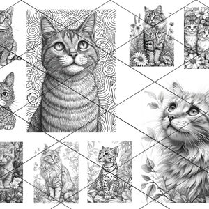 May include: A collection of black and white line drawings of cats. The drawings feature different breeds of cats in various poses, including a cat looking up, a cat sitting, and a cat with kittens. The drawings are detailed and realistic.