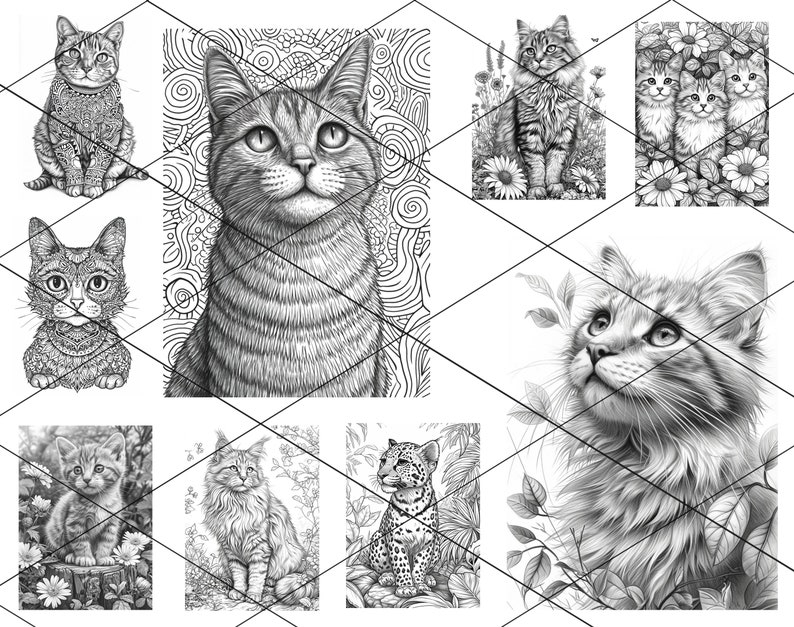 May include: A collection of black and white line drawings of cats. The drawings feature different breeds of cats in various poses, including a cat looking up, a cat sitting, and a cat with kittens. The drawings are detailed and realistic.