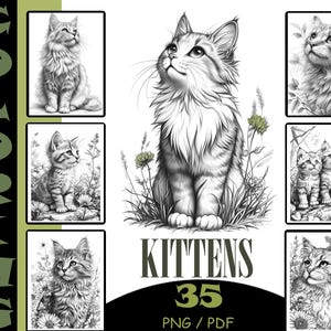 May include: A set of 35 black and white colouring pages featuring adorable kittens in various poses. The pages are titled "Kittens" and include the text "PNG / PDF".
