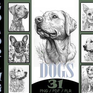 Puede incluir: Un conjunto de 31 ilustraciones de perros en blanco y negro para colorear. Las ilustraciones presentan diferentes razas de perros, incluyendo un Labrador Retriever, un Bulldog Francés, un Chihuahua y un Golden Retriever. Las ilustraciones son perfectas para libros para colorear, tarjetas de felicitación y otros proyectos creativos.