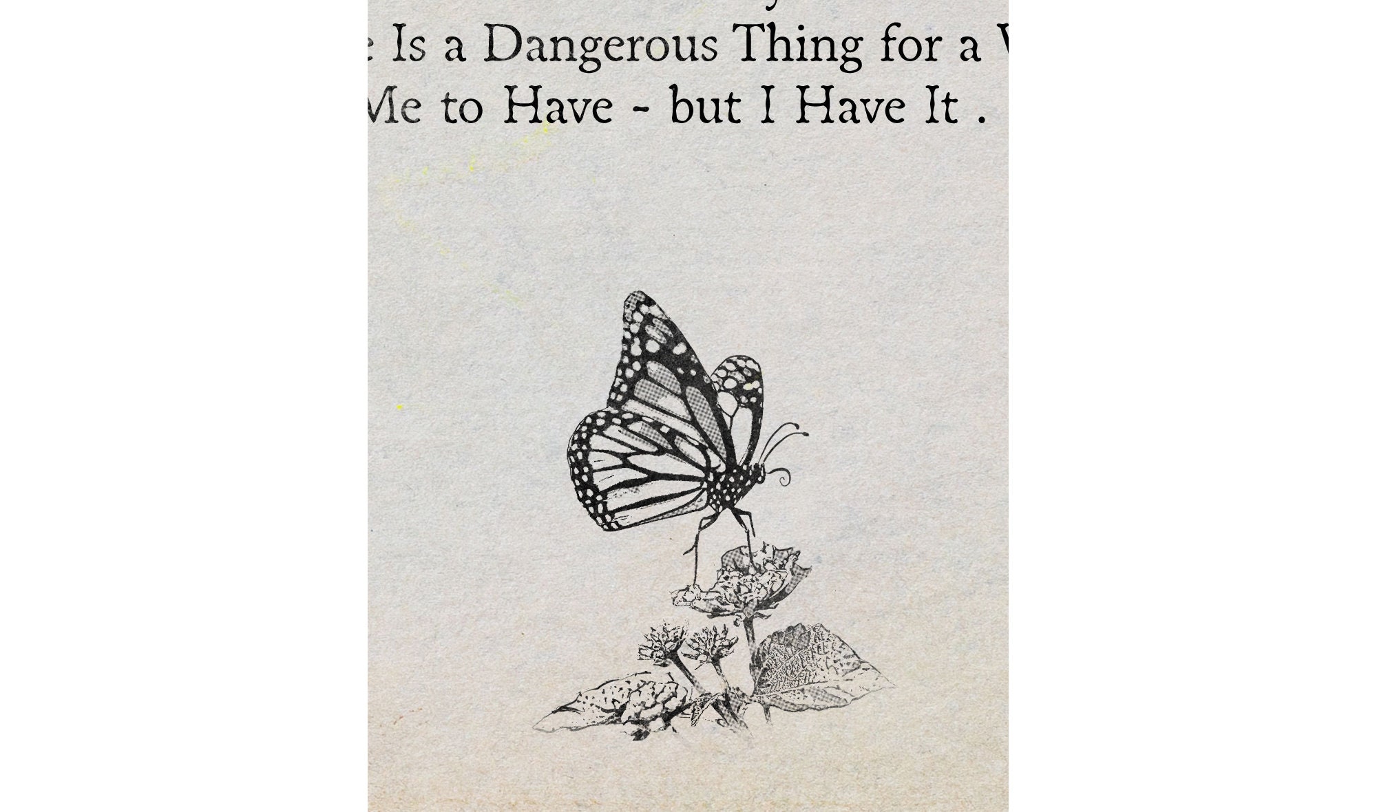 Lana Del Rey Happiness Is A Butterfly Paroles Lana Del Rey NFR Norman Froi Rockwell Ancien titre - Etsy France