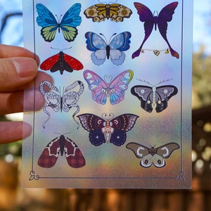 Butterfly Eras Les Papillons Sun Catcher Decal | Rainbow Sticker | Rainbow Maker Decal | Suncatcher