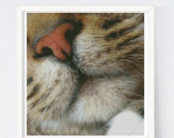 Cat Pattern, Modern Cross Stitch, Design Pattern Cat, Cross Stitch  Pattern, Instant Download #452