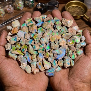 May include: A large collection of raw, unpolished opal gemstones featuring a variety of irregular shapes and sizes. Each stone displays a milky white base with vibrant flashes of iridescent green, blue, orange, and yellow colour play throughout.