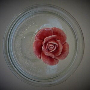 4 x Weck Glasdeckel mit Porzellan Kanuf davon 1 x Rose 2 x Blume Punkte 1 x 1 x Nostalgie 1 x Schrift grün rose Größe 100 Bild 5